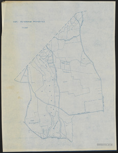 Map 1 Petersham Properties