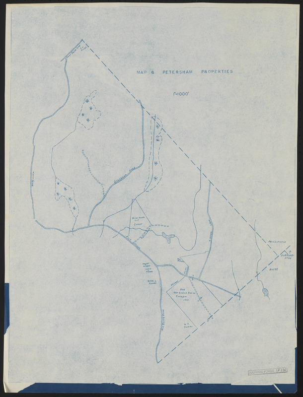 Map 6 Petersham Properties