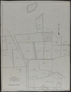 Rough Survey of Portions of Mr. William Simes, Marsh and Martin Lots and Land of Adjoining Owners