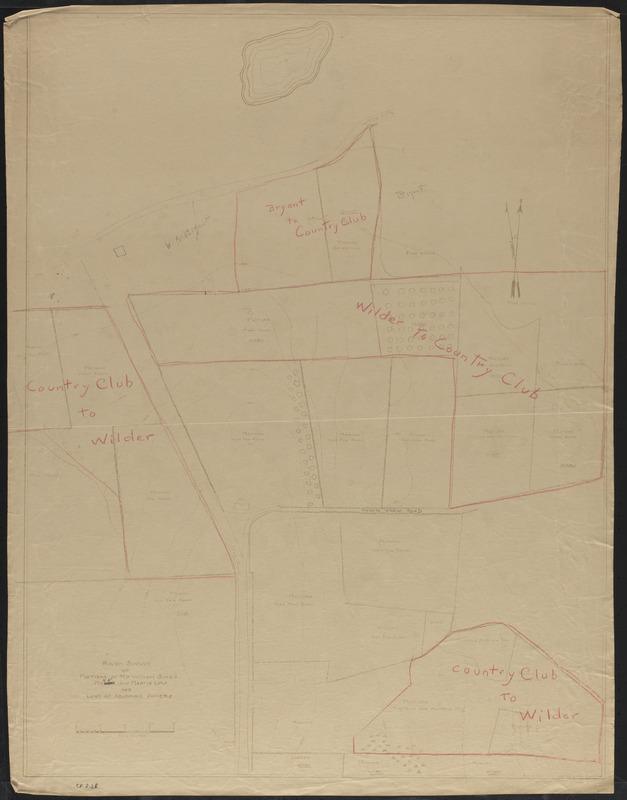 Rough Survey of Portions of Mr. William Simes Mann and Martin Lots and Land of Adjoining Owners