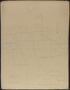 Rough Survey of Portions of Mr. William Simes Mann and Martin Lots and Land of Adjoining Owners