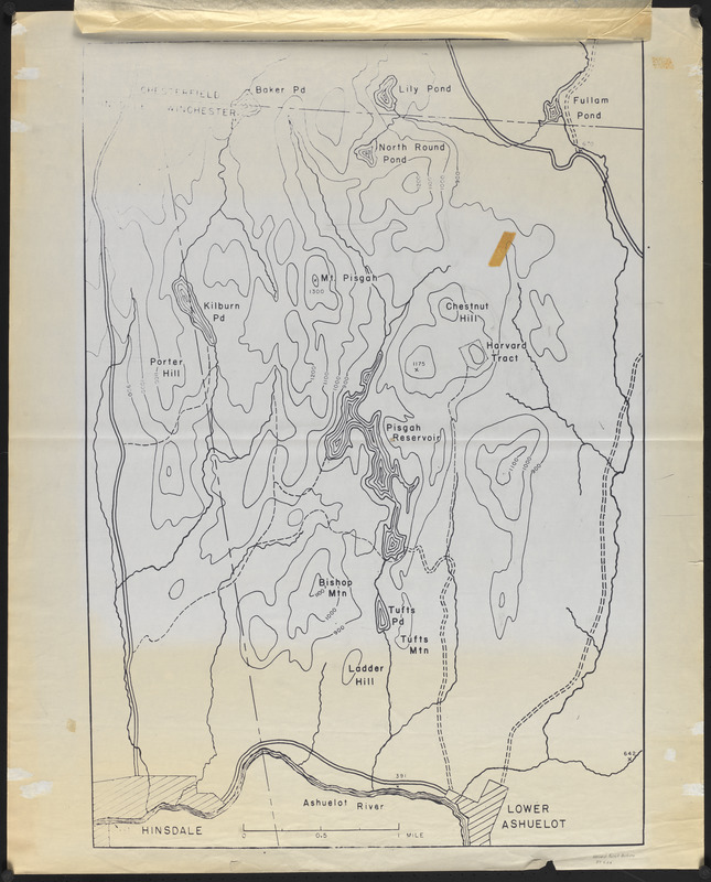 Pisgah Tract - Stand Types - Cruise Lines