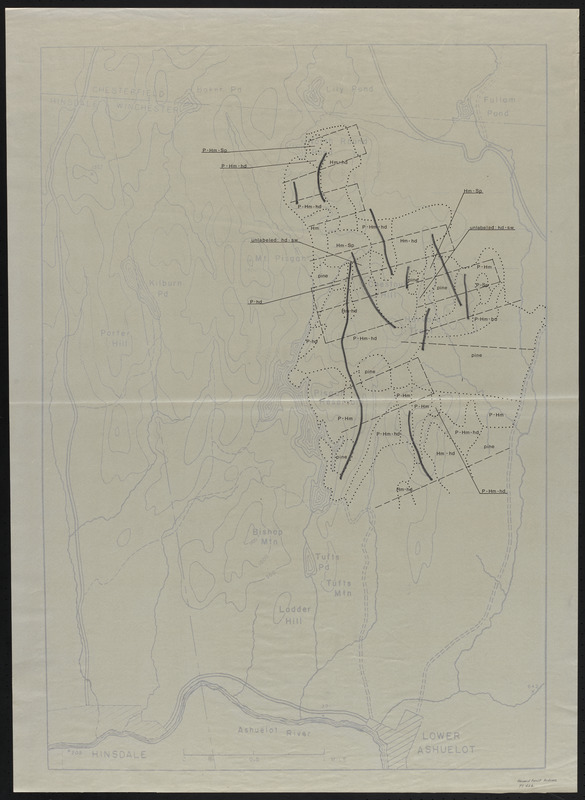 Pisgah Tract - Stand Types - Cruise Lines