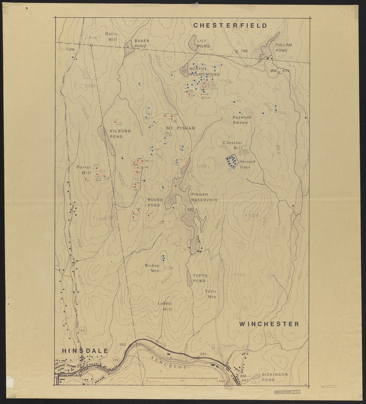 Pisgah Tract Plot Map