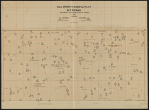 Old Growth Sample Plot Mount Pisgah Showing Distribution of Trees