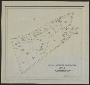 Nathan Matthews Plantations Block A. Stand Type Map