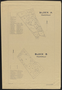 Nathan Matthews Plantations Block A-B Stand Map