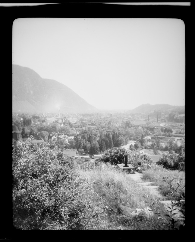 View of Bad Reichenhall, Germany, from Bürgermeisterhöhe