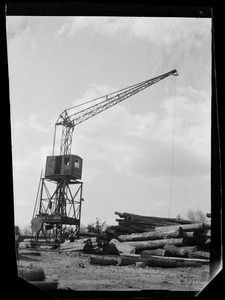 Crane lifting logs, Kaiserslautern, Germany