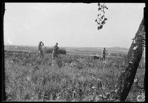 Workers in field, Waiblingen, Germany