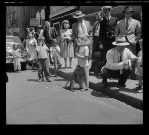 Street crowd watching costumed and leashed monkey, Boylston Street, Boston