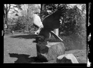 Eagle sculpture, probably Boston