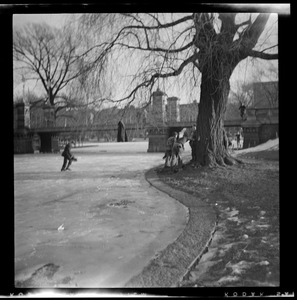 Frozen pond, Public Garden, Boston