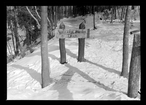 Willard Brook Trail sign
