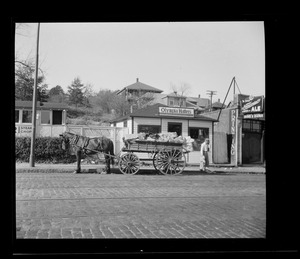 Olympia Hatters, Roslindale, Boston