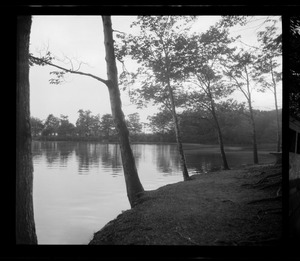 Houghton Pond