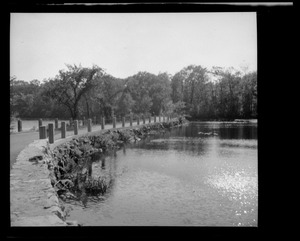 Houghton Pond