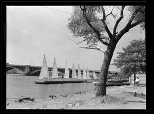 Sailboats on Charles River near Longfellow Bridge