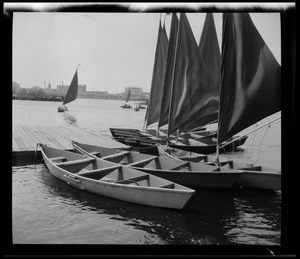 Sailboats moored on the Charles River, Boston