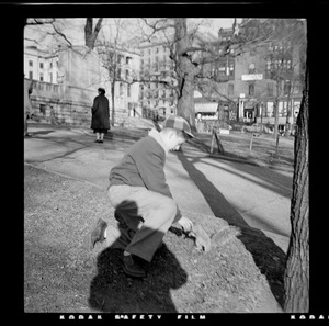 Boy feeding squirrel, Boston Common