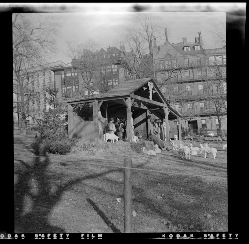 Nativity scene, Boston Common