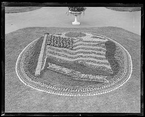 Flowerbed showing a flag