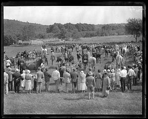 A group of spectators surrounding a circular fenced in area filled with horses and handlers
