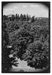 Black Forest and views from roof - Gertrude Sands
