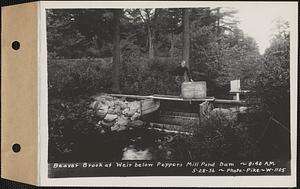 Beaver Brook at weir below Pepper's mill pond dam, Ware, Mass., 8:40 AM, May 28, 1936