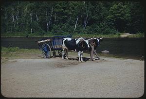 Ox cart, Crawford Notch