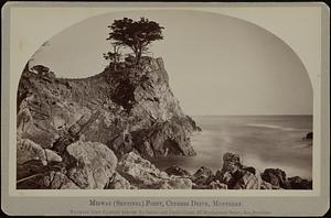Midway (Sentinel) Point, Cypress Drive, Monterey