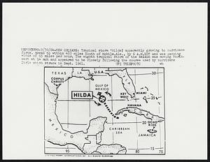 New Orleans: Tropical storm “Hilda,” apparently growing to hurricane force, moved to within 450 miles South of Mobile, Ala., by 6 A.M. EDT and was packing winds of 65 miles per hour. The eighth tropical storm of the season was moving North-west at 14 mph and appeared to be closely following the course used by hurricane Carla which struck in Sept. 1961.