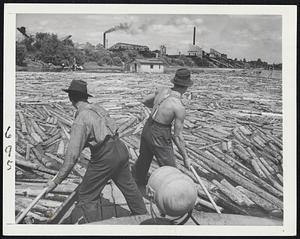 Pulp Mills Resume Production. Quebec, Canada -- Loggers on prow of boat clear the way through the sea of logs as the "sack" nears the Gatineau Mills near Hull. The majority of the logs will emerge from the mill as pulp for paper.