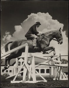 Horse and rider jumping
