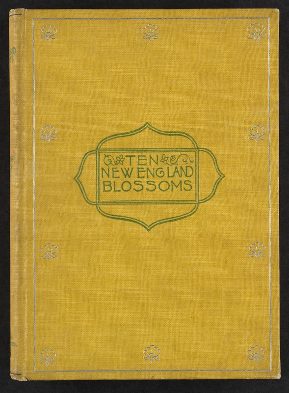 Ten New England blossoms and their insect visitors [Front cover]