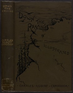 Down the ravine [Spine and front cover]