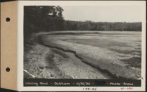 Whiting Pond, pond bed, Oakham, Mass., Oct. 10, 1930