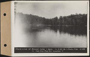 Shore line of Beaver Lake, Ware, Mass., Jun. 23, 1936