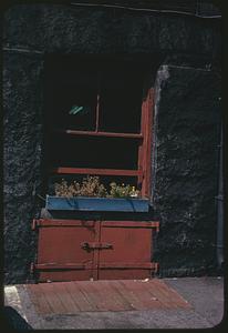 Flower box on red-painted window