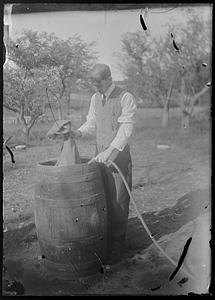 Fertilizing