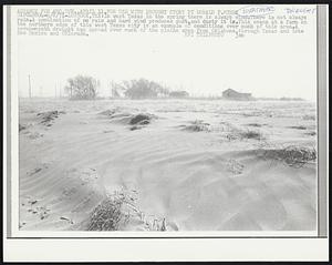 Lubbock, Tex: In west Texas in the spring there is always wind. There is not always rain. A combination of no rain and hard wind produces dust, and dusty it is. This scene at a farm on the northern edge of this west Texas city is an example of conditions over much of this area. A seven-month drought has spread over much of the plains area from Oklahoma, through Texas and into New Mexico and Colorado. Weather Drought.