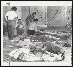 Quake Dead Laid Out in Fire Station-Ten of known dead in Tehachapi, Calif., as laid out on the floor of the town fire station, which was used as a morgue. In background a deputy coroner lifts the blanket on one victim as a woman resident seeks to identify a missing friend.