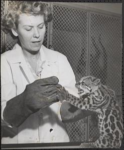 Dr. Patricia O'Connor
