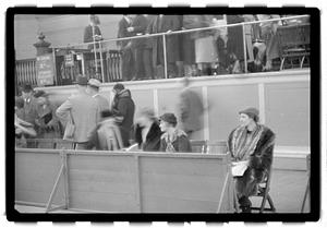 Dog show