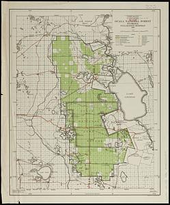 Ocala National Forest, Florida