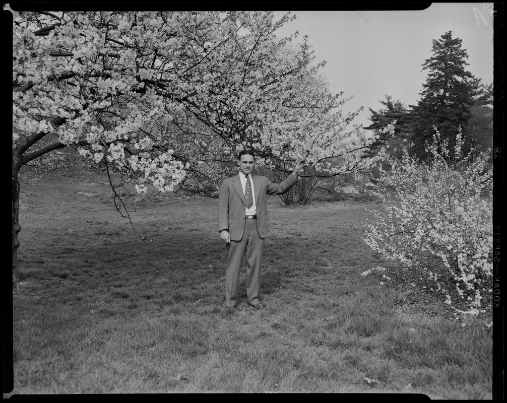 James J. Greeley, Arborway Station. Arnold Arboretum