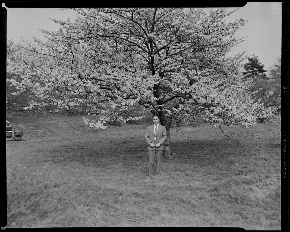 James J. Greeley, Arborway Station. Arnold Arboretum