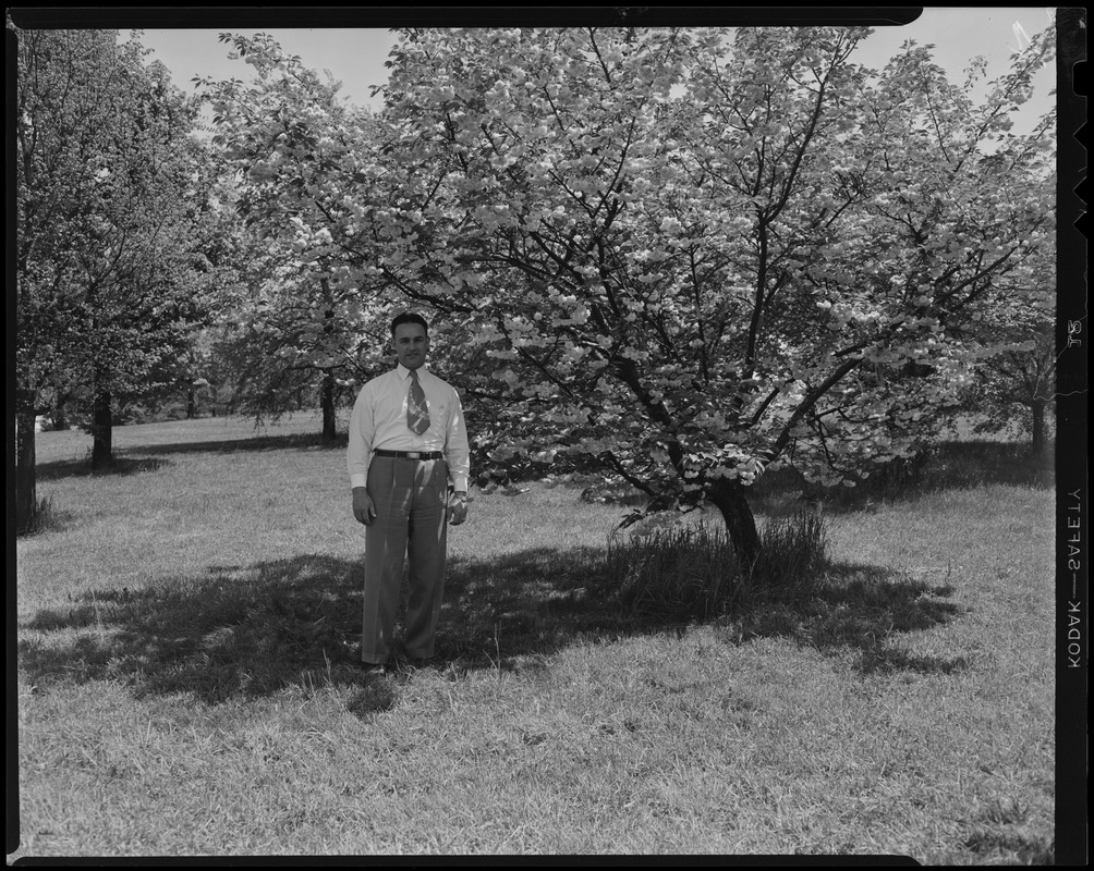 James J. Greeley at Arnold Arboretum