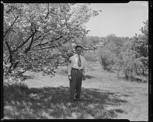 James J. Greeley at Arnold Arboretum