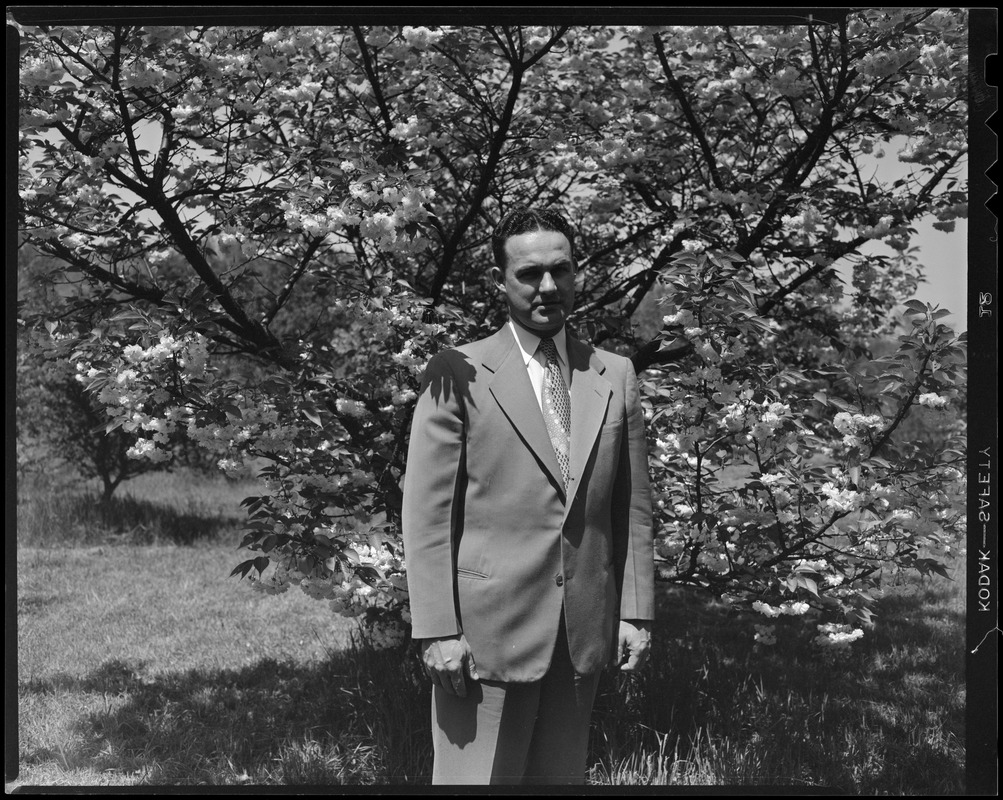 James J. Greeley at Arnold Arboretum